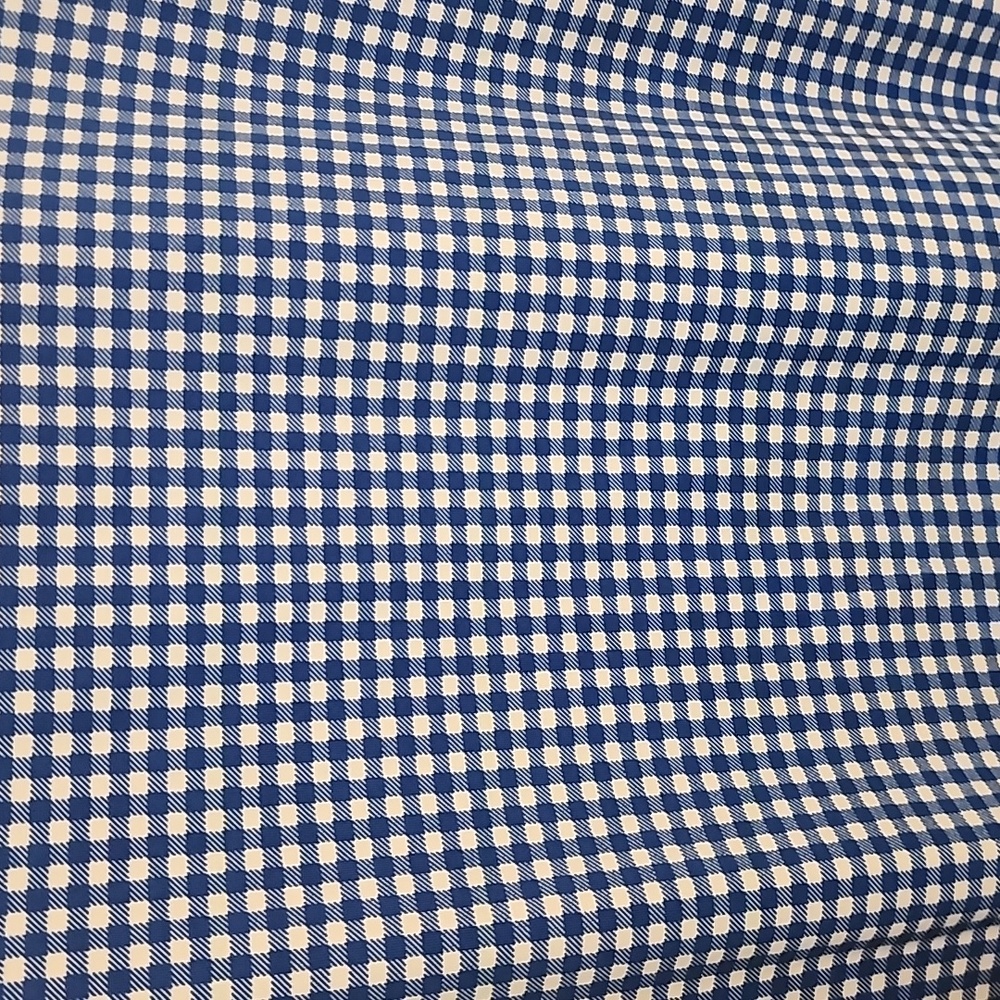 Blue Gingham Sleeveless Dress View 2